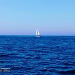 Aveiro, Ria E Arte Διαμέρισμα *