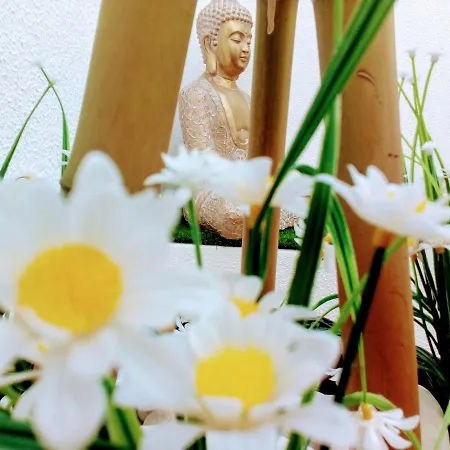 Διαμέρισμα Aveiro, Ria E Arte Αβέιρο