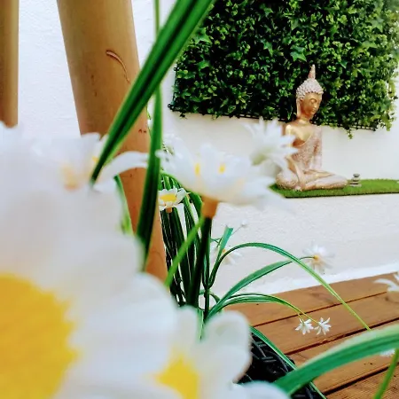 Aveiro, Ria E Arte *