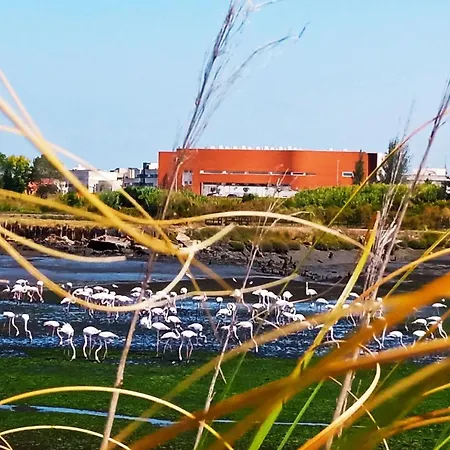 Aveiro, Ria E Arte Appartement