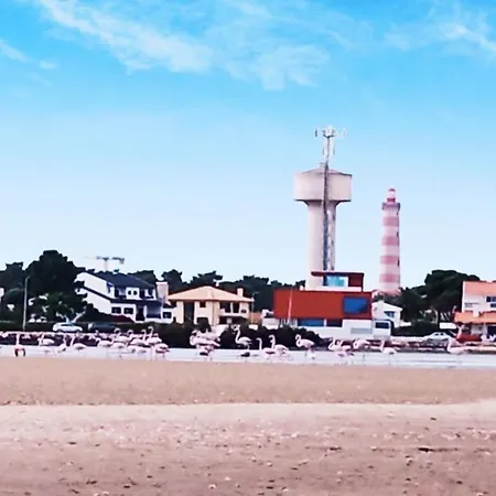 Aveiro, Ria E Arte Διαμέρισμα Αβέιρο