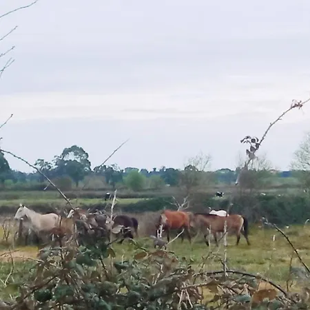 Aveiro, Ria E Arte Αβέιρο