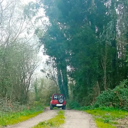 Aveiro, Ria E Arte Διαμέρισμα *