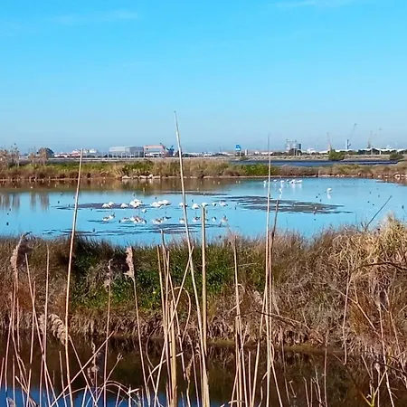 Aveiro, Ria E Arte