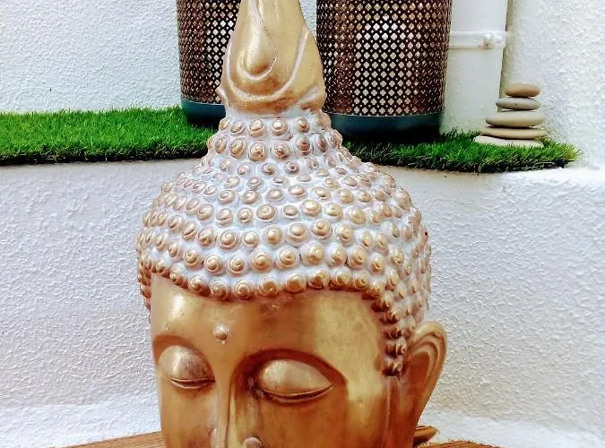 Aveiro, Ria E Arte *