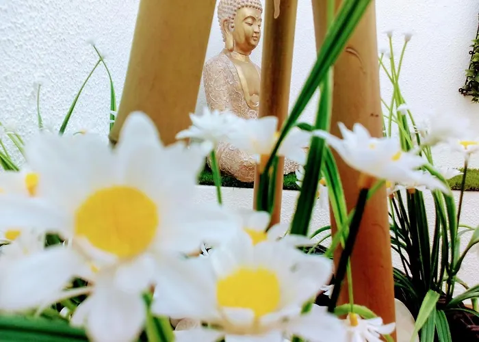 Apartment Aveiro, Ria E Arte Aveiro