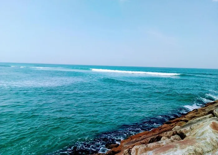 Aveiro, Ria E Arte Apartment Aveiro