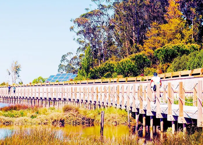 Aveiro, Ria E Arte * Aveiro