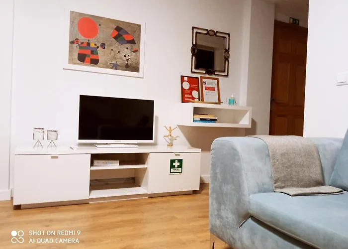 Apartment Aveiro, Ria E Arte *