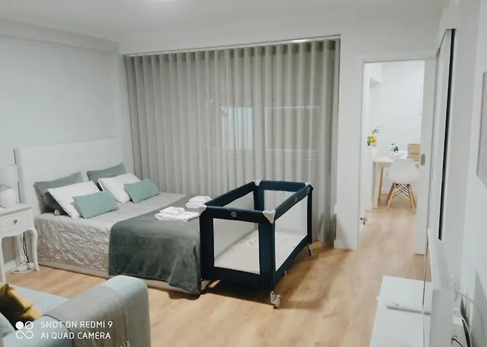 Aveiro, Ria E Arte Apartment