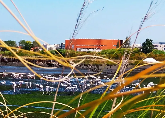 Aveiro, Ria E Arte Apartment