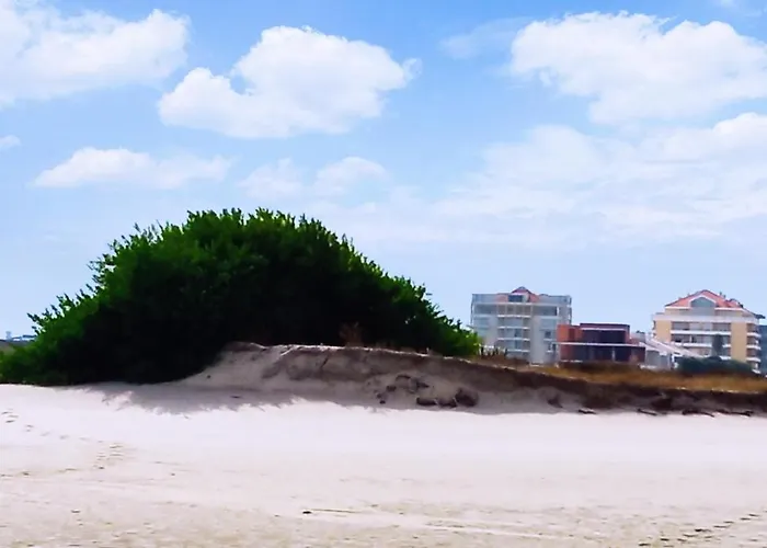 Aveiro, Ria E Arte Apartment