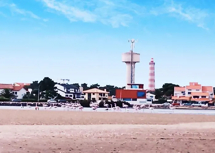 Aveiro, Ria E Arte Apartment Aveiro