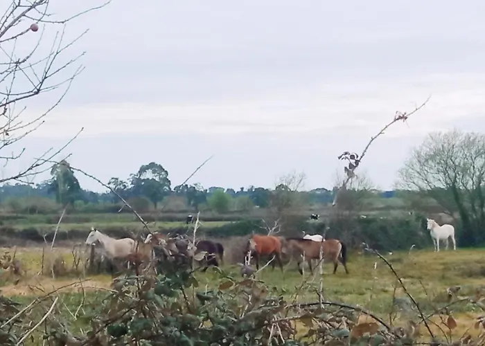 Aveiro, Ria E Arte Aveiro