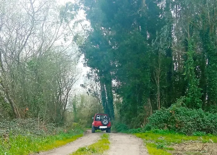 Aveiro, Ria E Arte Apartment *