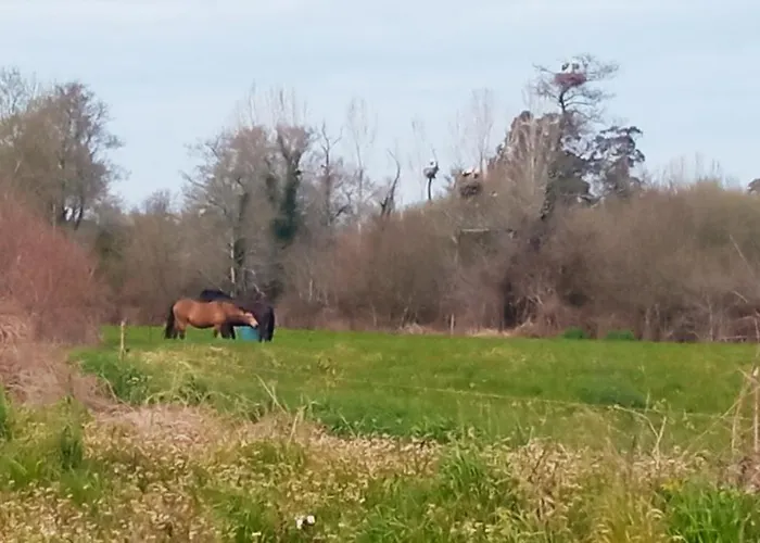 Aveiro, Ria E Arte Aveiro